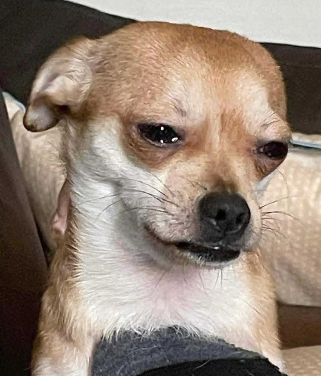 Men have played me but when I hear tiktok stories I realise that I’ve had it very easy  😭