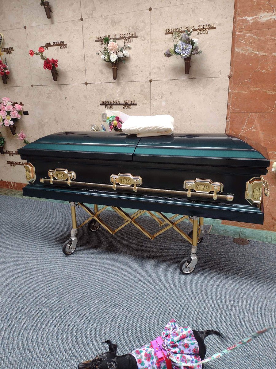 Coastie Jo tweet media