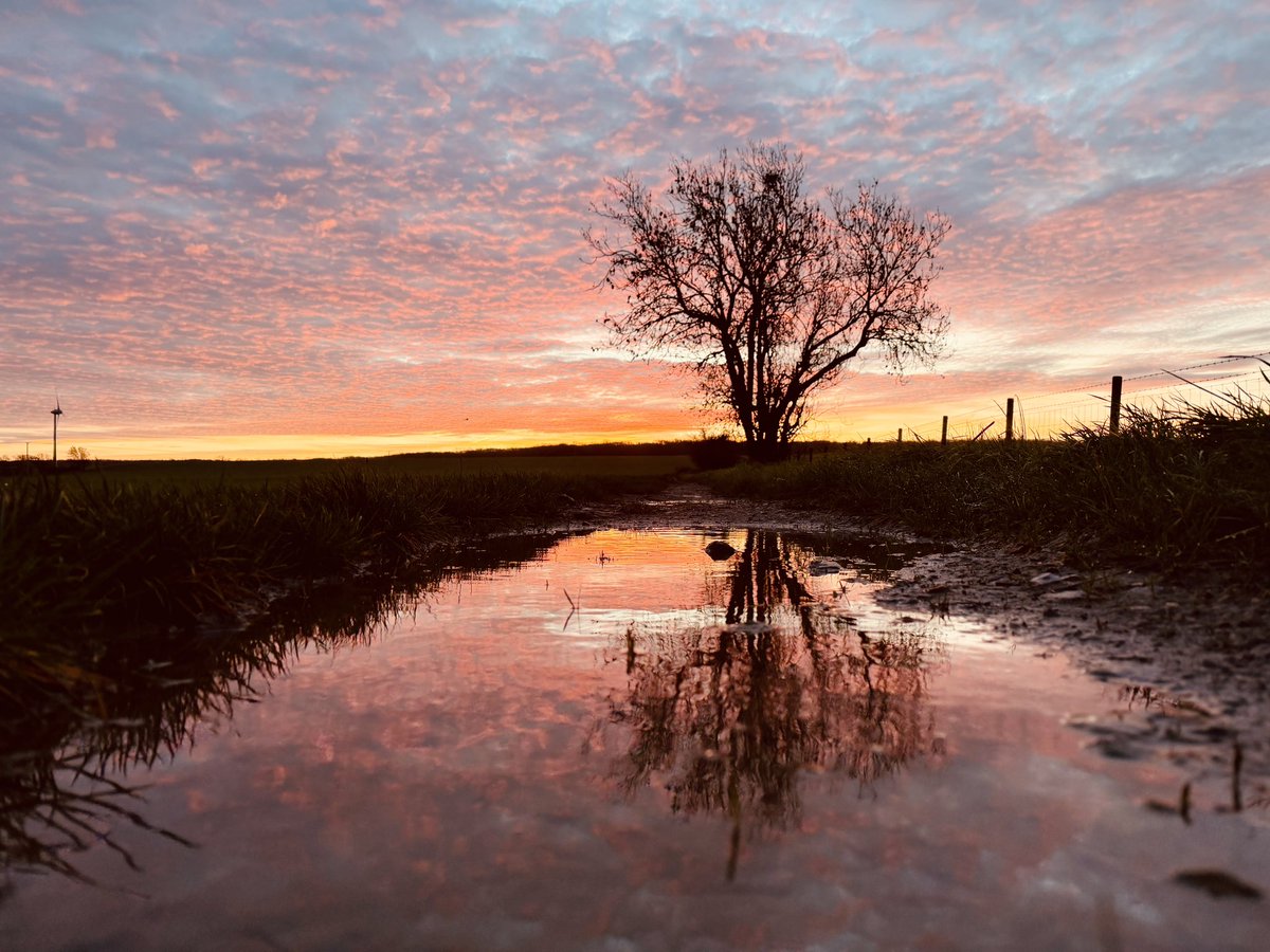 IPRealities's tweet image. Racking sunrise this morning