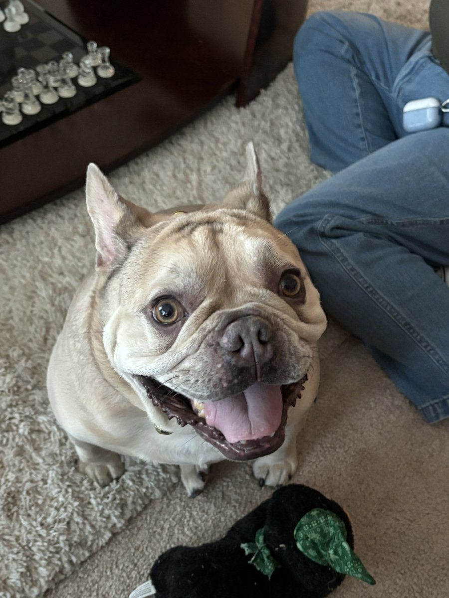 Literally twins 😭🥺