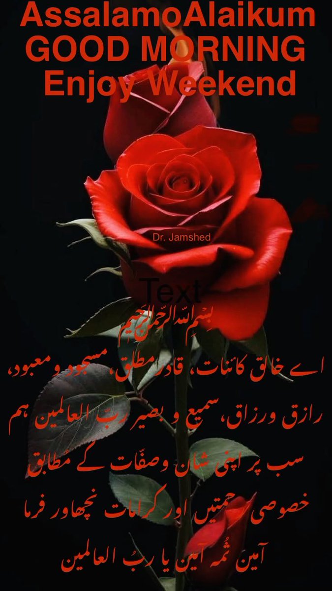 JamshedUSA's tweet image. ❤️    Assalam   O   Alaikum   ❤️ 

❤️  Good Morning“X”Family  ❤️

 ❤️   Have a Happy Sunday ❤️

 (  Like + Rt = Follow Back  )   💯