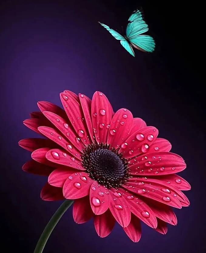 Gününüz aydın neşeniz yerinde olsun. 
Günaydın ☕️⚘️
#MutluPazarlar ❣️