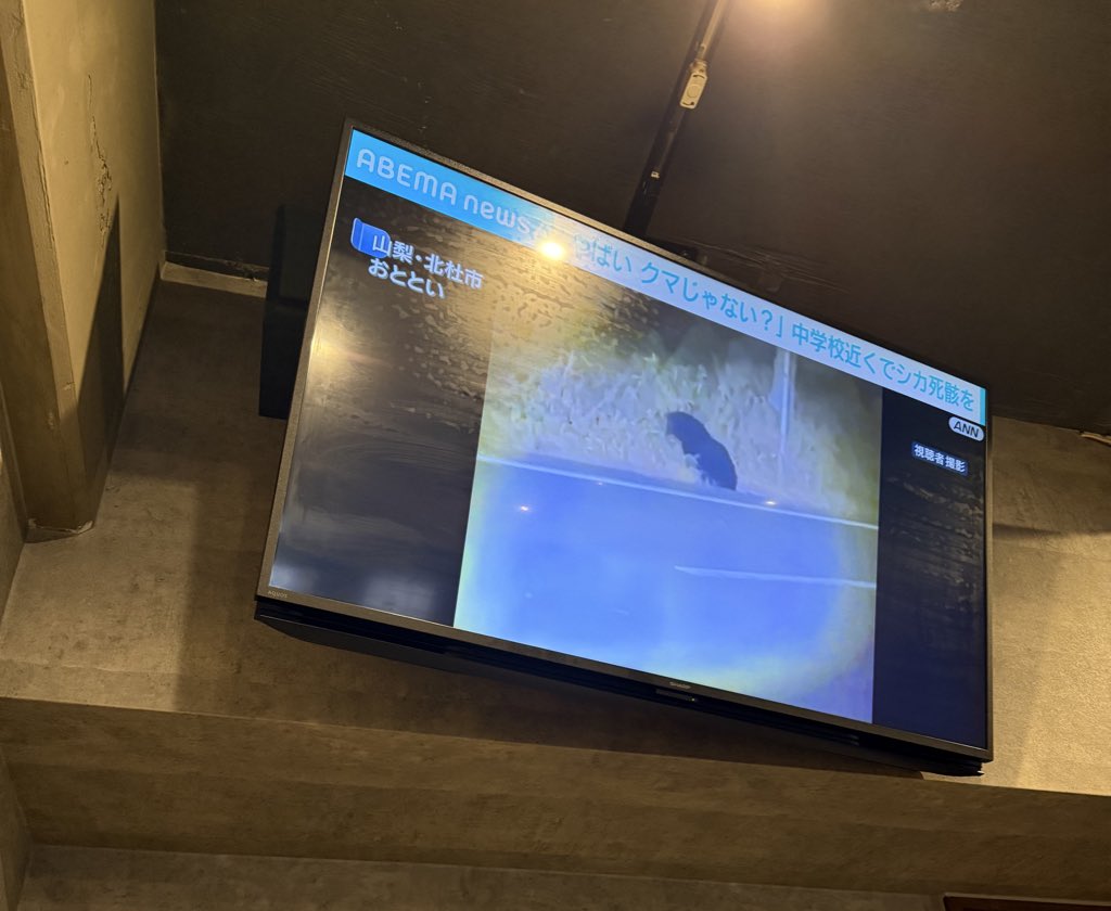 ついに山梨でも🐻