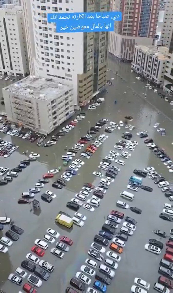 د.سارة🔴المهندس tweet media