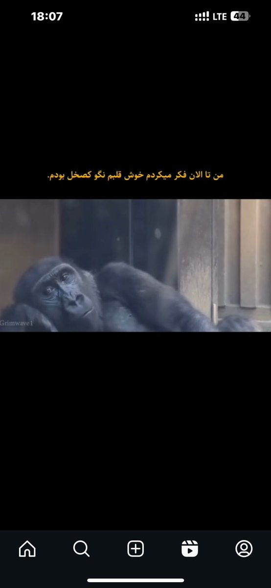 تُوتی (ساقی توییتر ) (@tottikhan10) on Twitter photo 