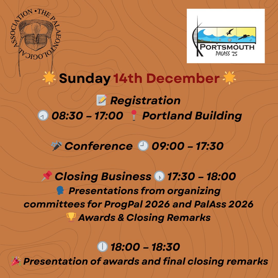 ThePalAss's tweet photo. 🌟🥳Our today's plan (14th December) ⬇️
#PalAss25 🙌 https://t.co/geiTO3QhnX