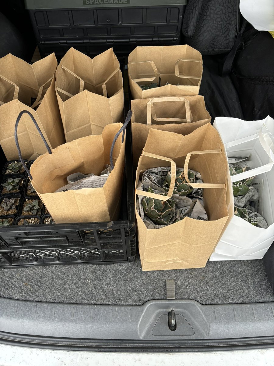 りゅうちゃんページ sol_green(りゅうちゃん) (@Ryuta88171429) / Posts / X