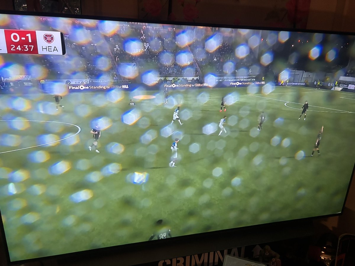 Gnome & Away tweet media