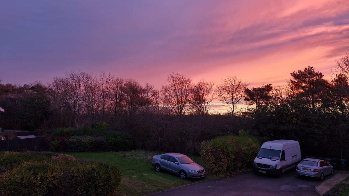 Morning all! #shepherdsdelight