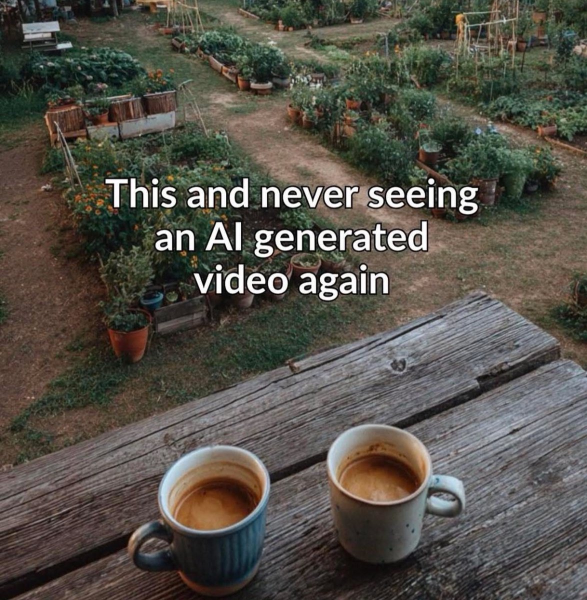 Respectful Memes (@respectfulmemes) on Twitter photo 