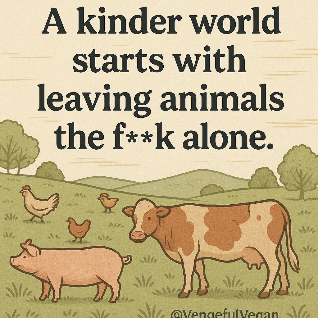 Dervilla(v) (@derviemoo) on Twitter photo 