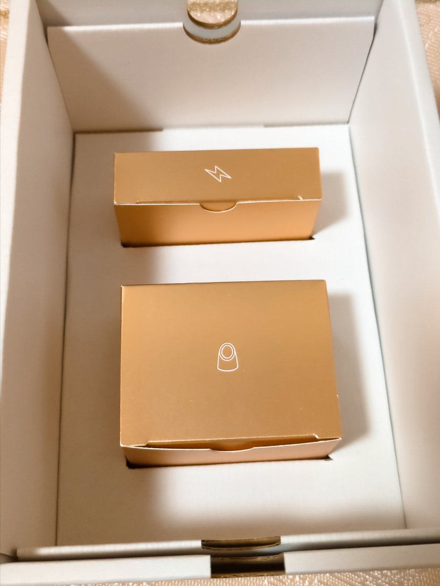 悩んでた美顔器買ったよー！ YA-MANのフォトプラスディープリフトの