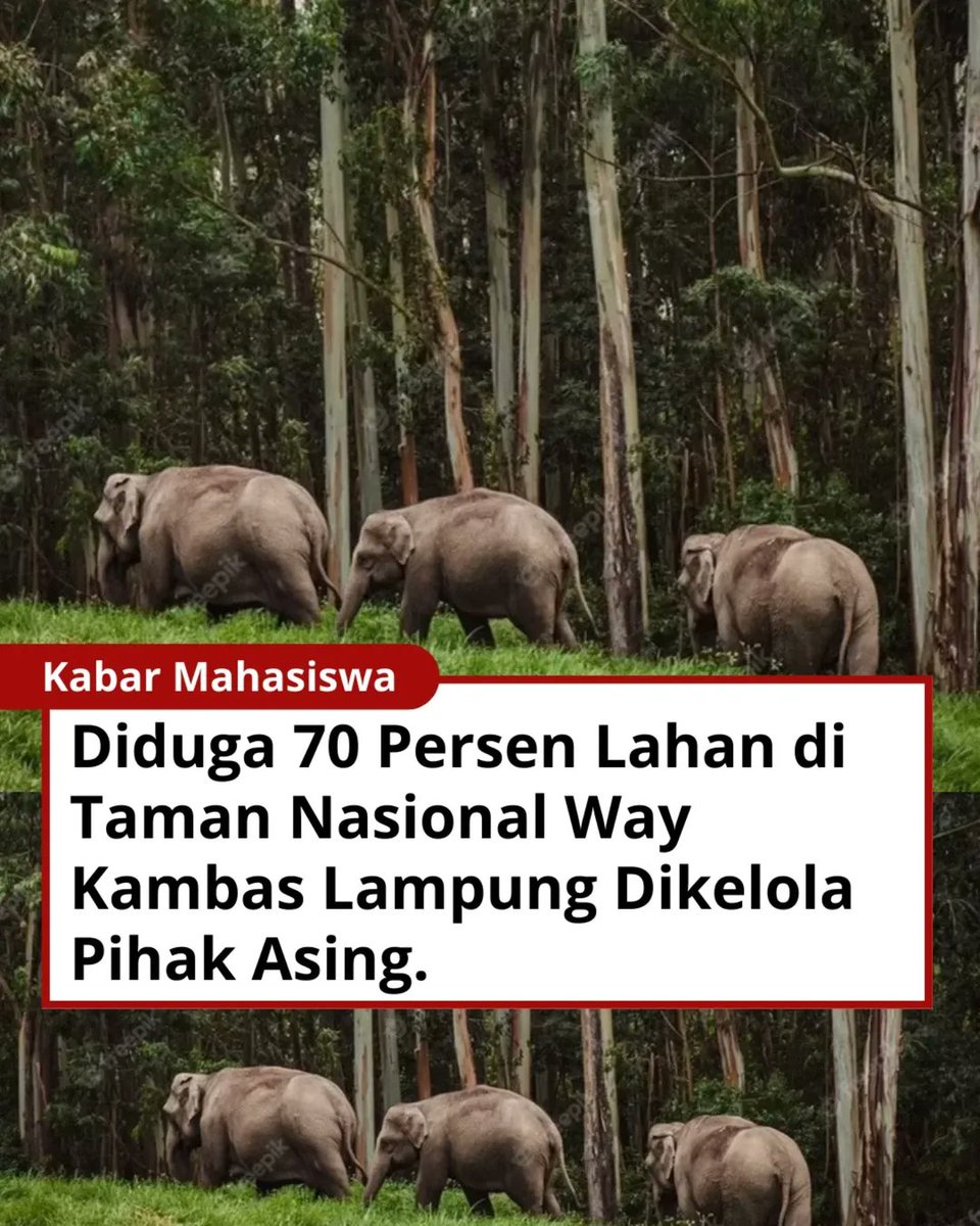 ๐ฎ๐ฉ Yanti ๐ฎ๐ฉ tweet media