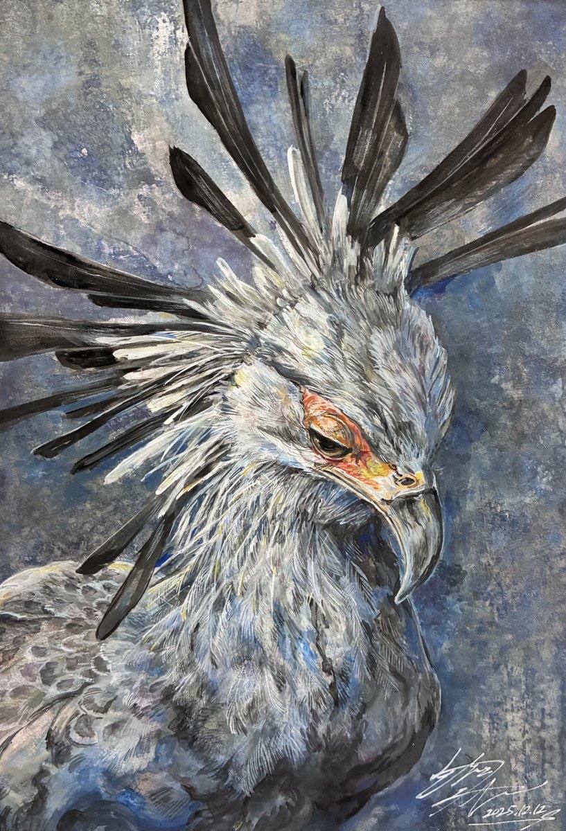 参考写真作家様はこちら 【@mamefish4 】