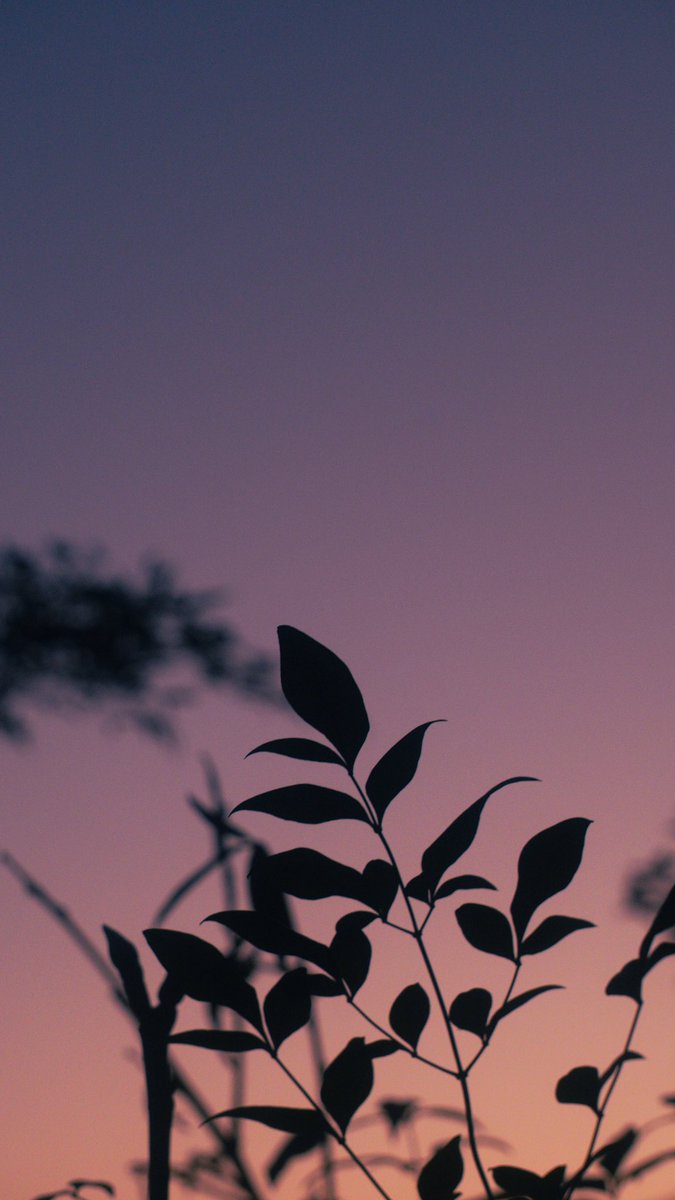 harerukitto's tweet image. #写真好きな人と繋がりたい #ファインダー越しの私の世界 #キリトリセカイ
Love