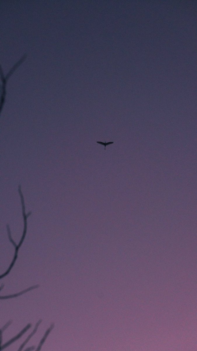 harerukitto's tweet image. #写真好きな人と繋がりたい #ファインダー越しの私の世界 #キリトリセカイ
Love