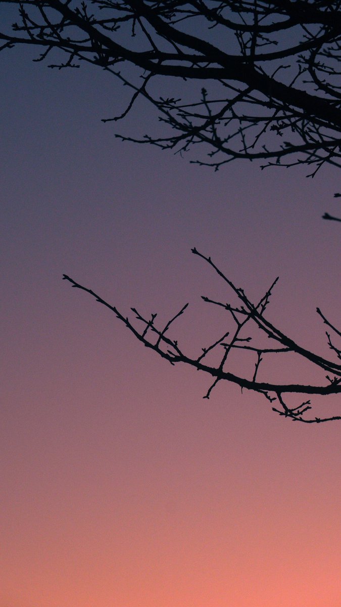 harerukitto's tweet image. #写真好きな人と繋がりたい #ファインダー越しの私の世界 #キリトリセカイ
Love