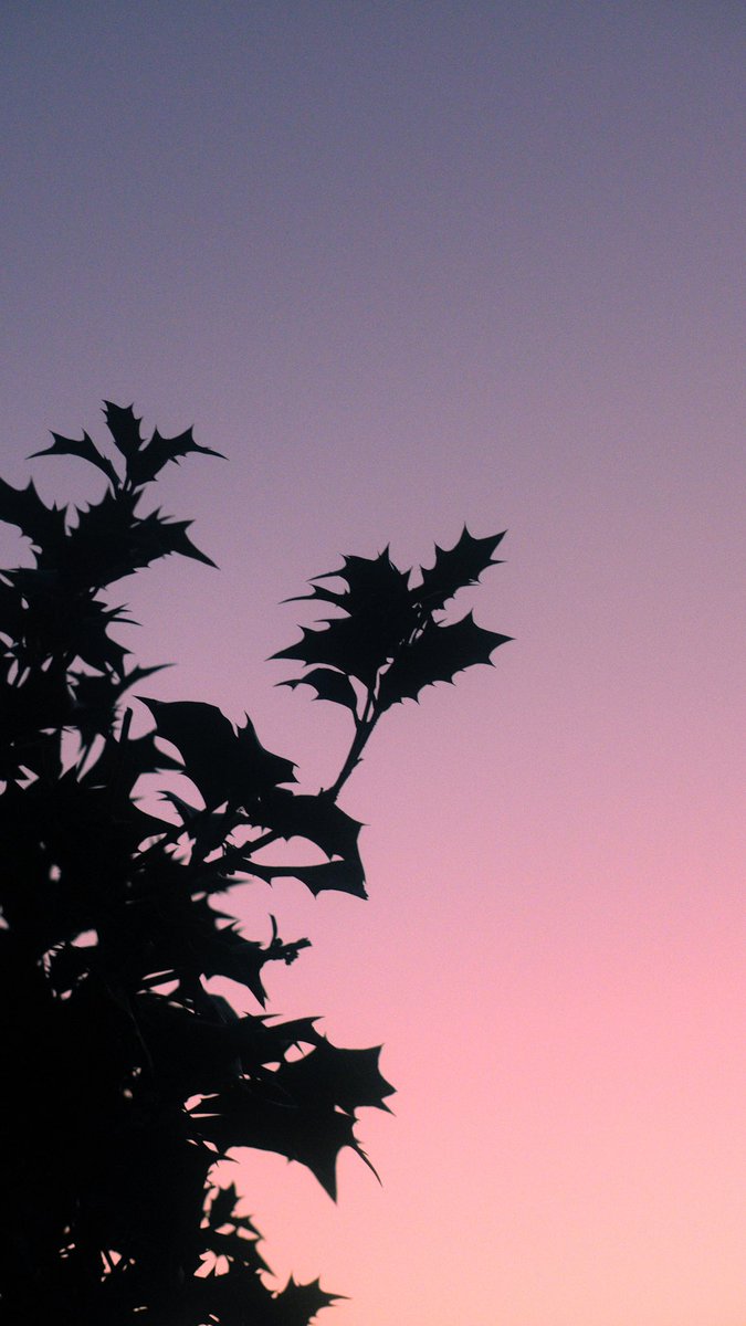 harerukitto's tweet image. #写真好きな人と繋がりたい #ファインダー越しの私の世界 #キリトリセカイ
Love