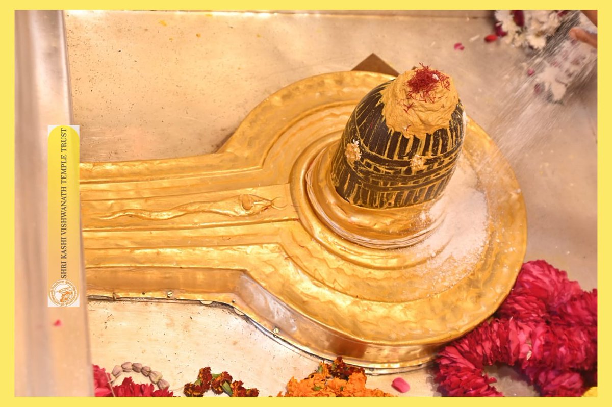 ShriVishwanath's tweet photo. श्री काशी विश्वनाथ जी की मध्यान्ह-भोग आरती I
#kashi #darshan #kashivishwanath #VishwanathDham #blessings https://t.co/N1IMN8k4vF