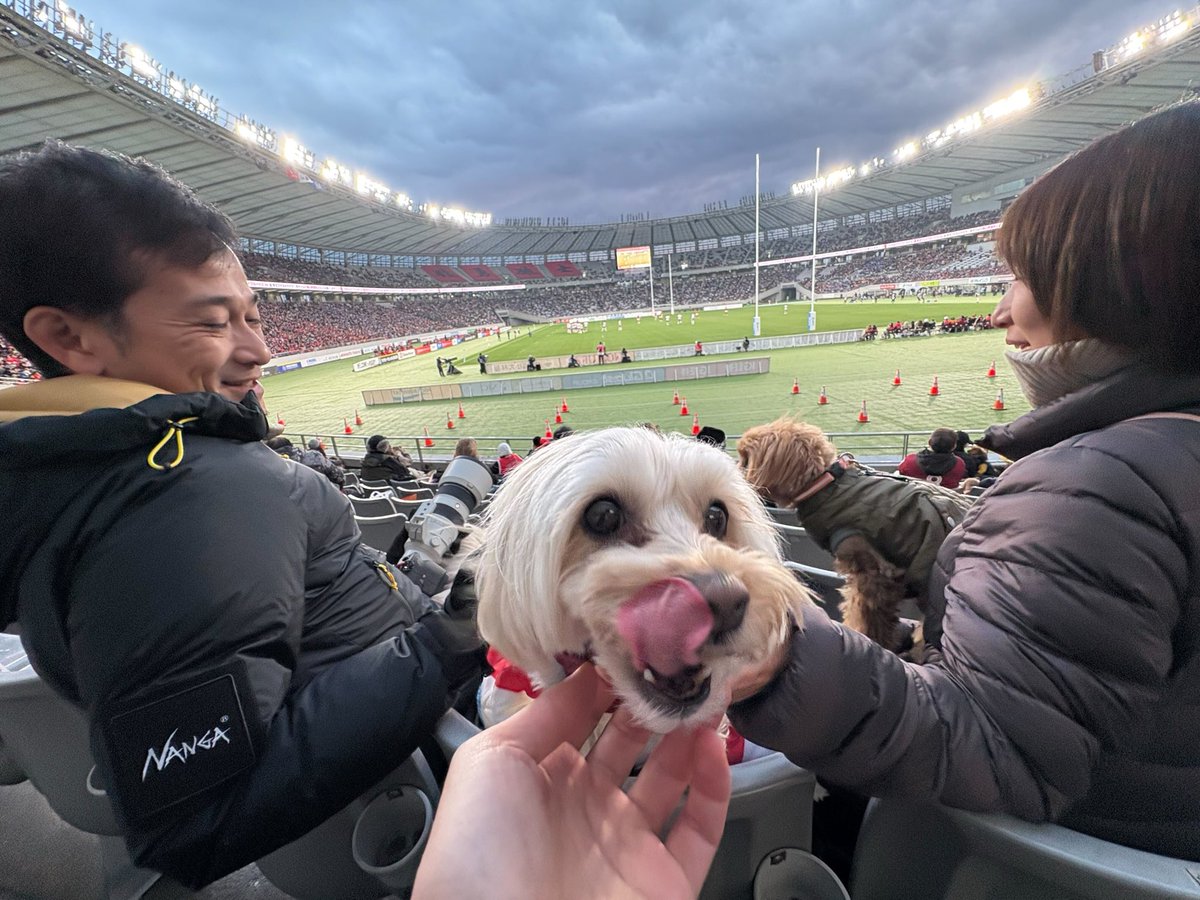 ワンちゃん 2年後のW杯へ！リーグワン開幕戦！ わんちゃん用にちゃんと1席が準備