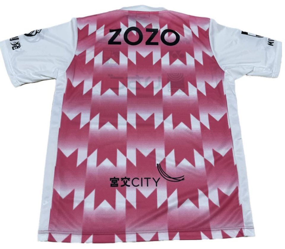 テゲバジャーロ宮崎 2025 3rd #テゲバ #J3 🇯🇵 #J2昇格