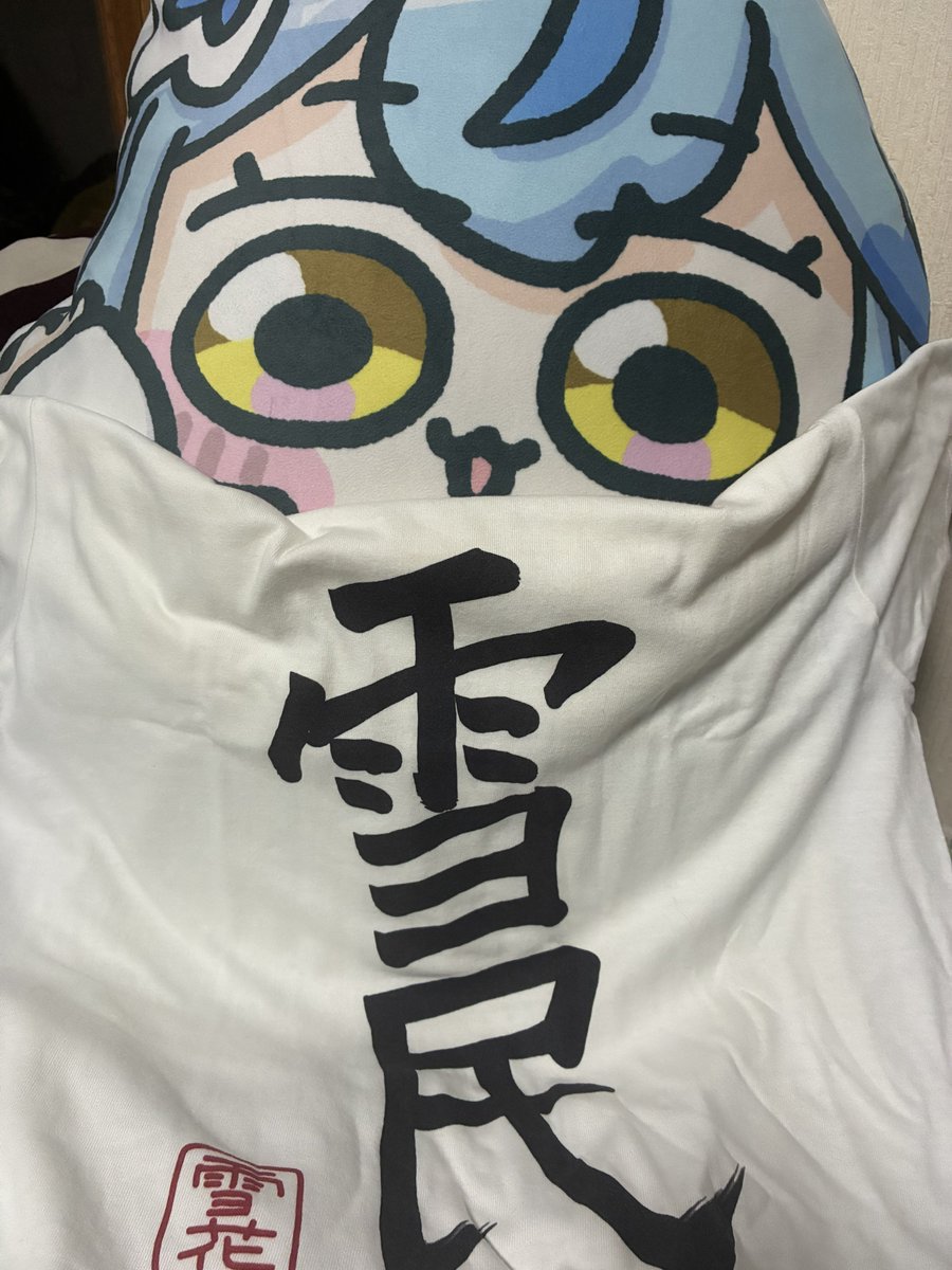 Post by 爆速のぴっぴさん☃️ on X: イェーイ！