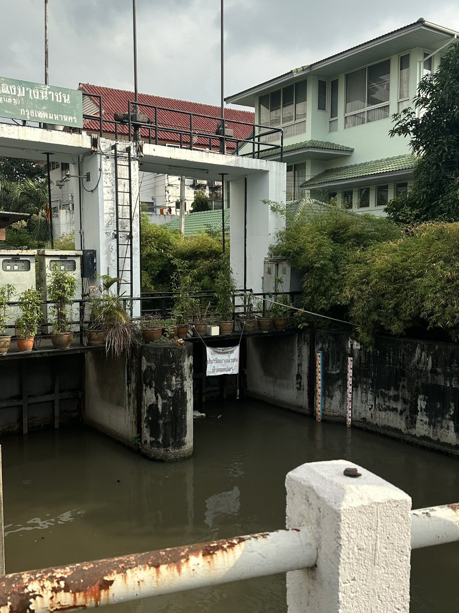 puppybkk's tweet photo. https://t.co/yMuKRs7vfW