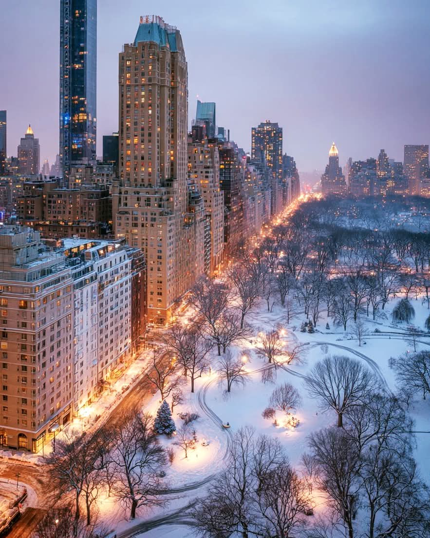 naturebeauty760's tweet image. Winter in Central Park, New York 🇺🇸🗽