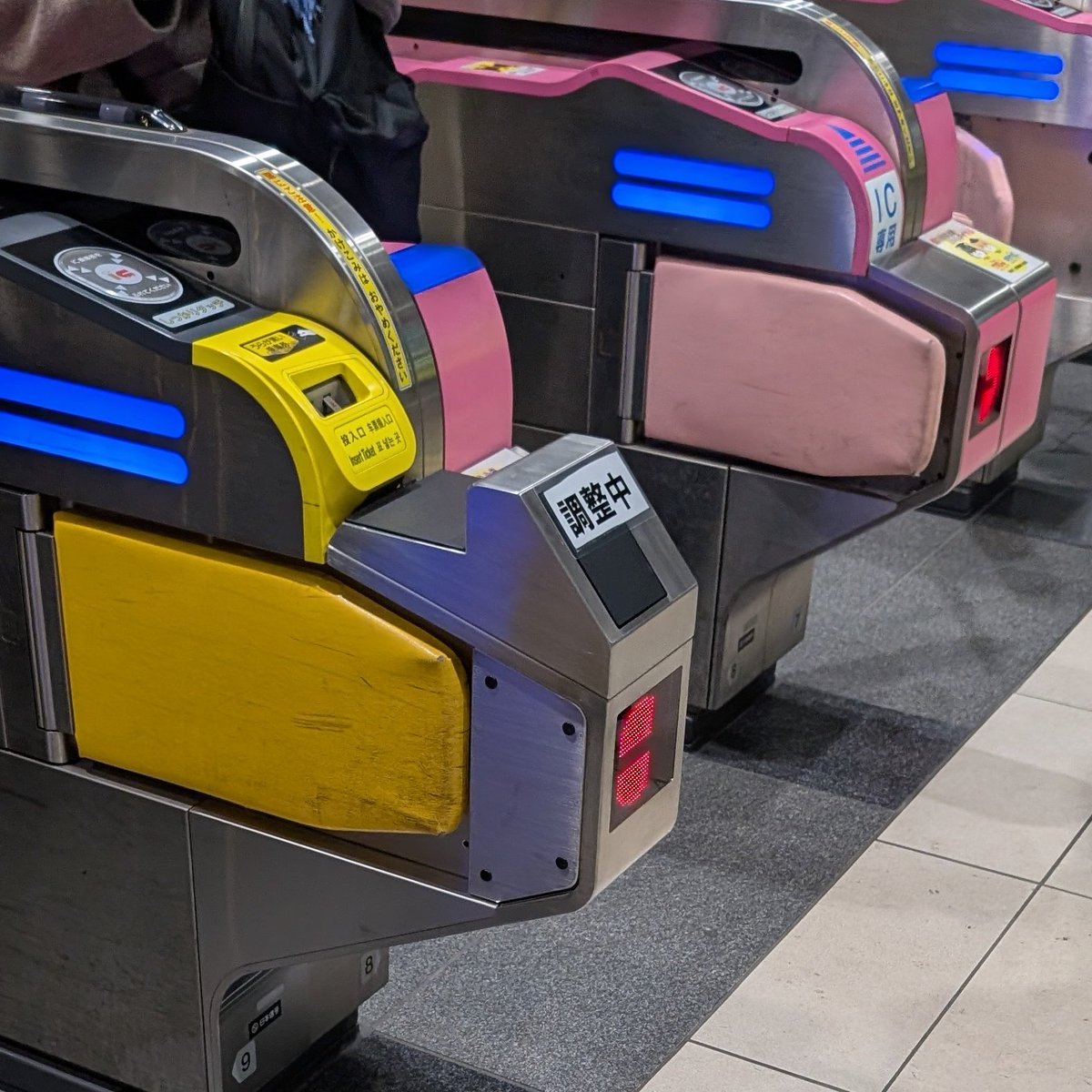 とどちゃん🦭 (@todochan) / Posts / X