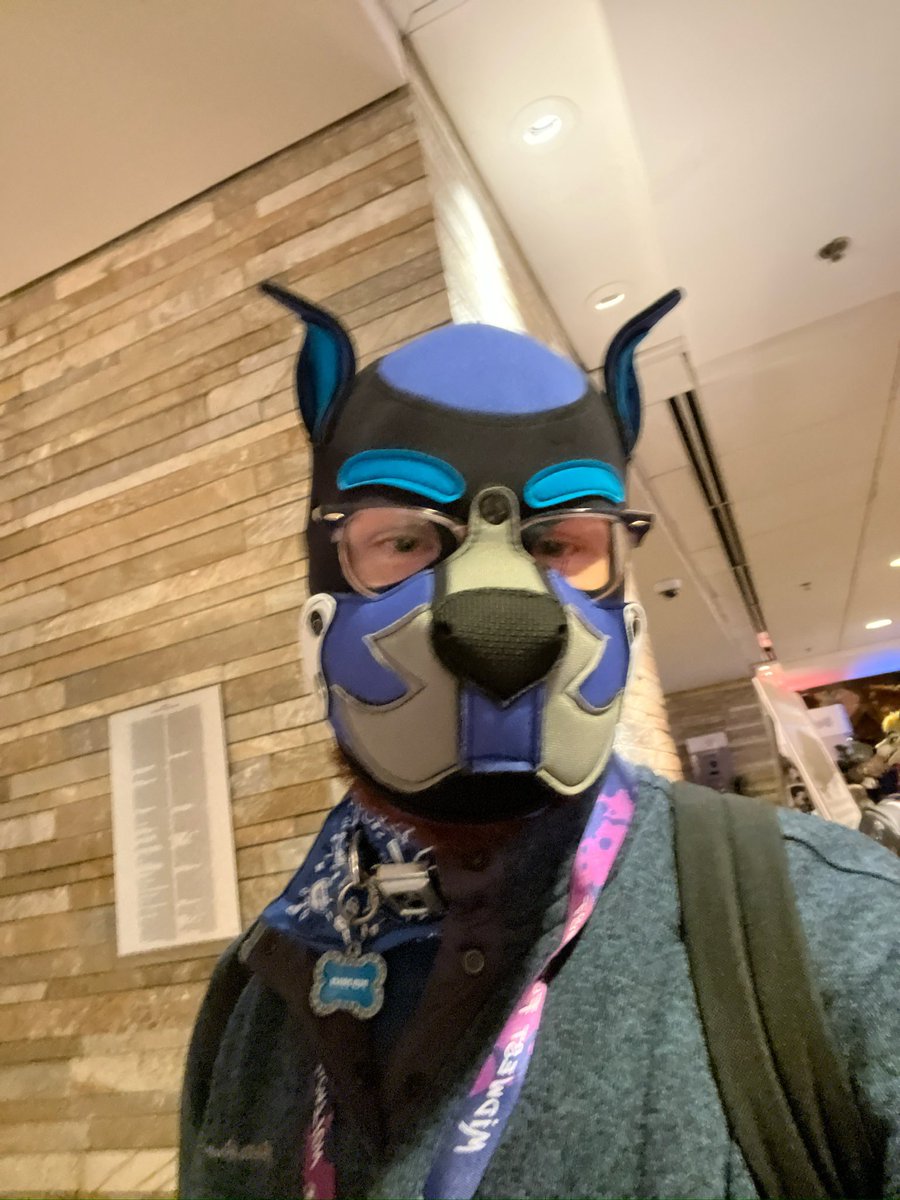 Pup Drice 🐾 tweet media
