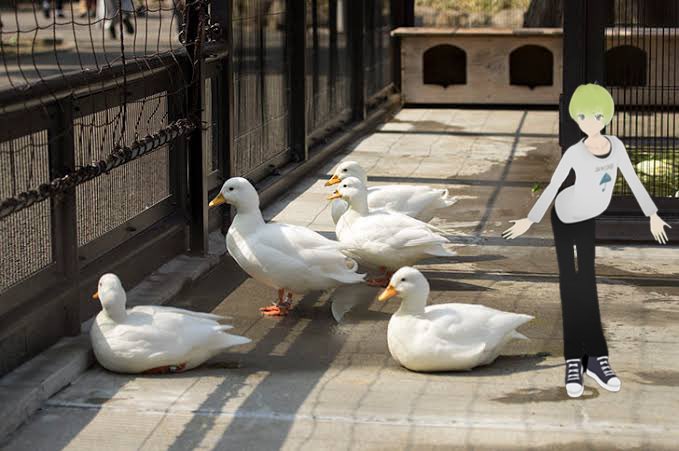 フカフカ•*¨*•.¸♬︎ ZXｰ10RR ☪️ Midnight purple💟 📸 thx‼️【@_papa_3_1118 】 #299it