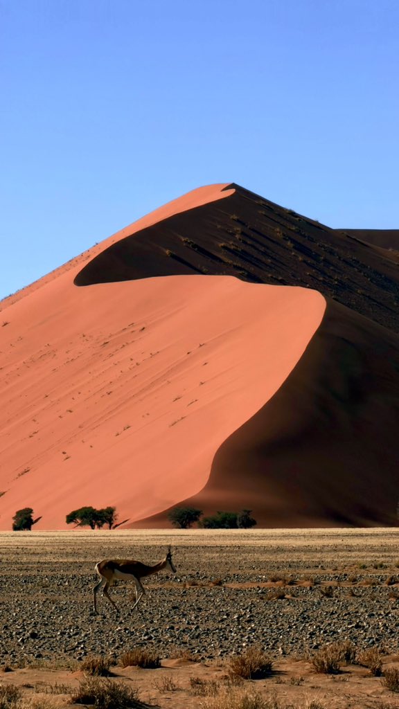 The amount of love I have in my heart for #Namibia is beyond words — it’s written in every sunrise, every dune, and every quiet moment that stayed with me long after I leave.