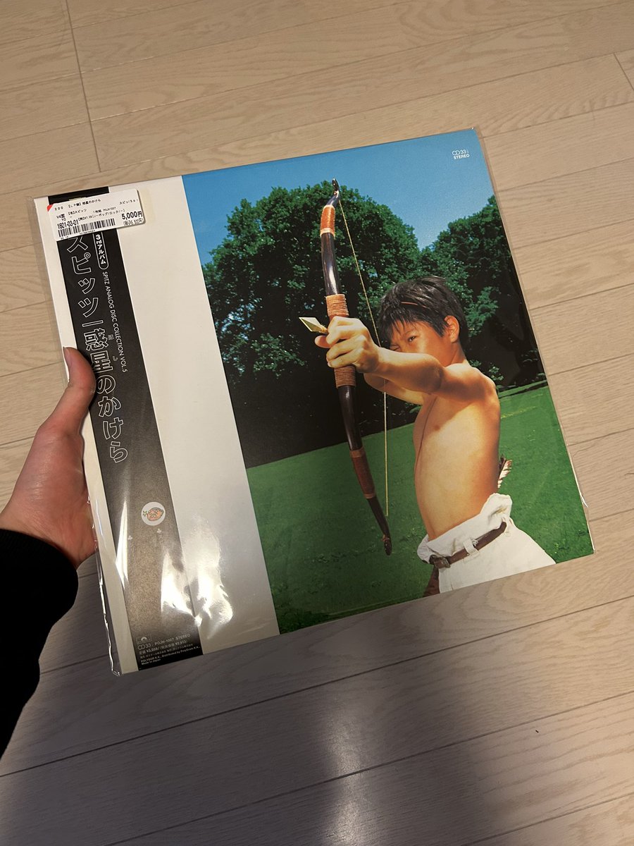 LP見つけて買っちゃった！！！スピッツ初のレコードゲットが日なたの