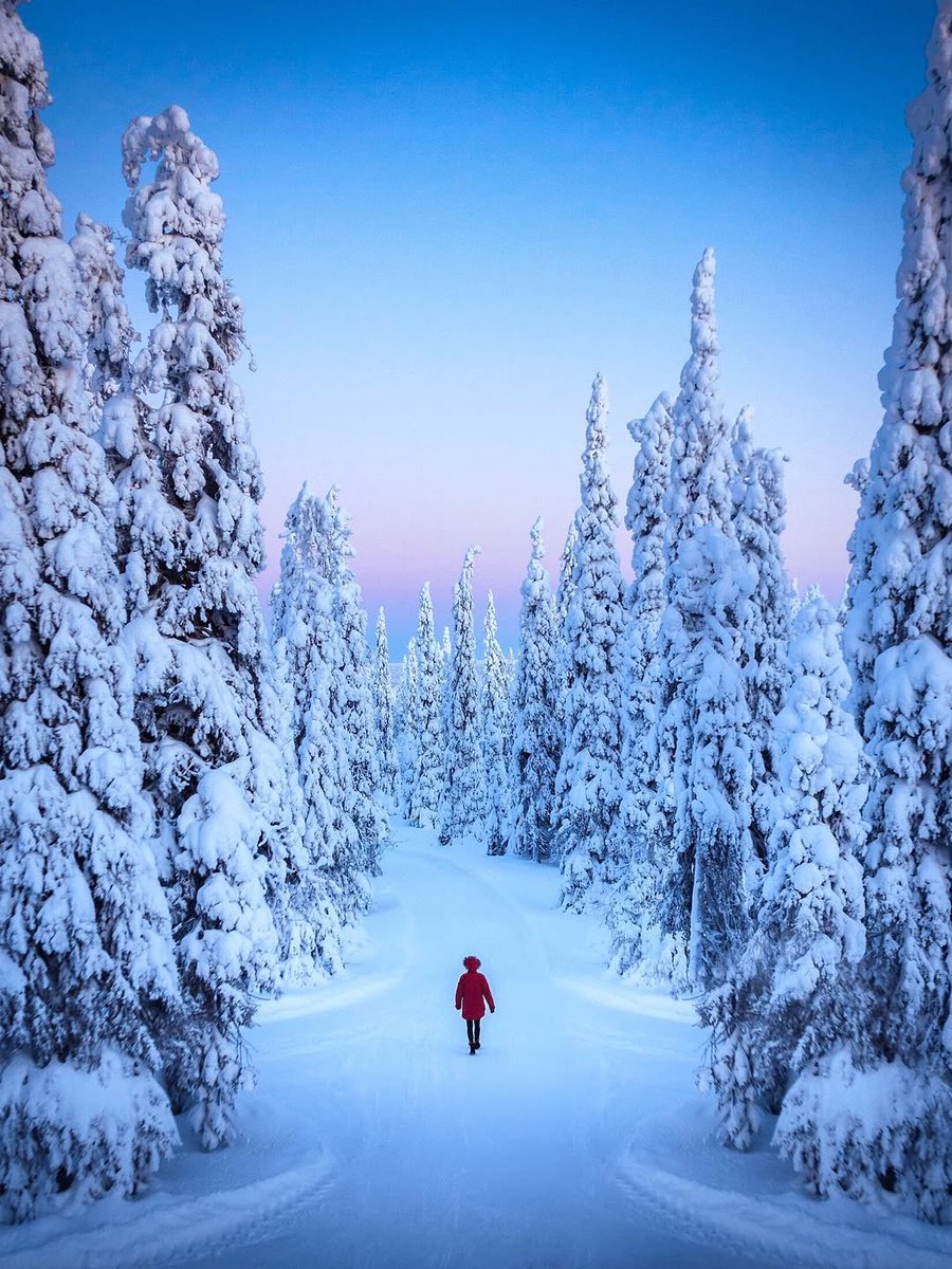 visualtherapy0's tweet image. Finland is unbelievable during winters