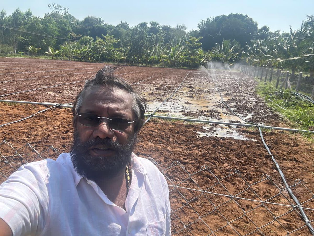 karunaasethu's tweet image. தேவர் தோட்டத்தில் சொட்டு நீர் பாசனம் முறையில் நாட்டு வேர்க்கடலை செவ்வாழை நாட்டு வாழை நடவு செய்து உழவும் பணியில் உழவர்கள்