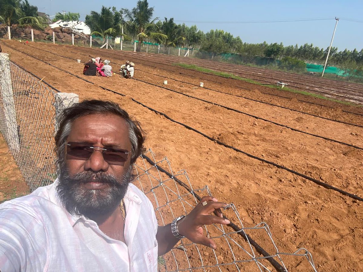 karunaasethu's tweet image. தேவர் தோட்டத்தில் சொட்டு நீர் பாசனம் முறையில் நாட்டு வேர்க்கடலை செவ்வாழை நாட்டு வாழை நடவு செய்து உழவும் பணியில் உழவர்கள்