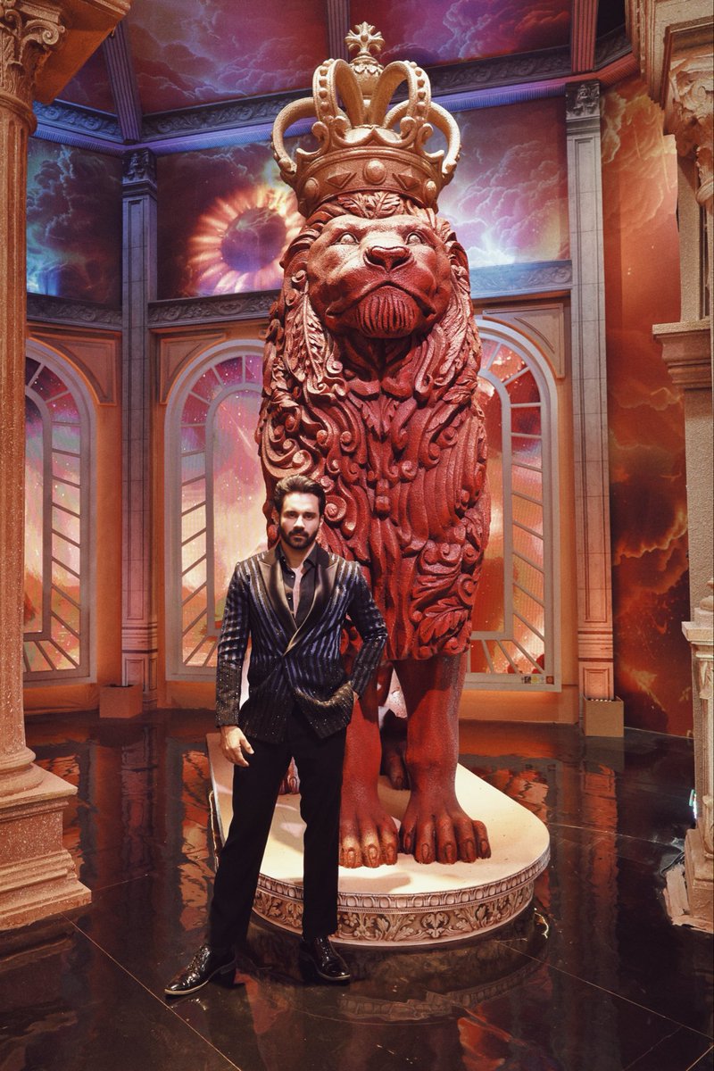 Humarabajaj6's tweet photo. Lionheart 🦁 https://t.co/GgKn3qDJee
