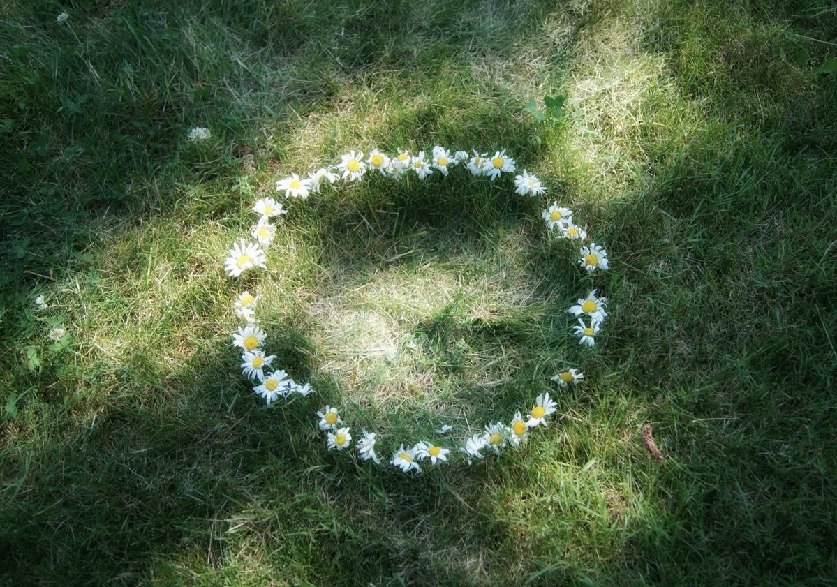 seraphicxc's tweet image. 