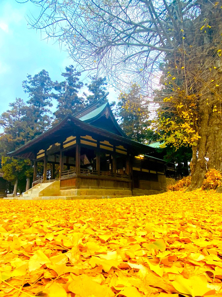 ryu ryu 3❌No DMs please🐯🍥🍚😋🎹🎸 fx 📸🐠🎣🌼🍺… (@ryujiy8823