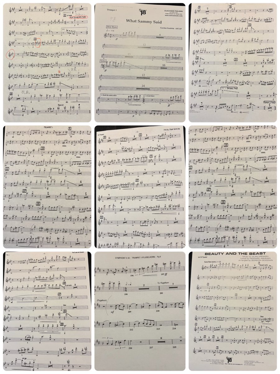 Masashi Sugiyama (@msbrasscamp) / Posts / X