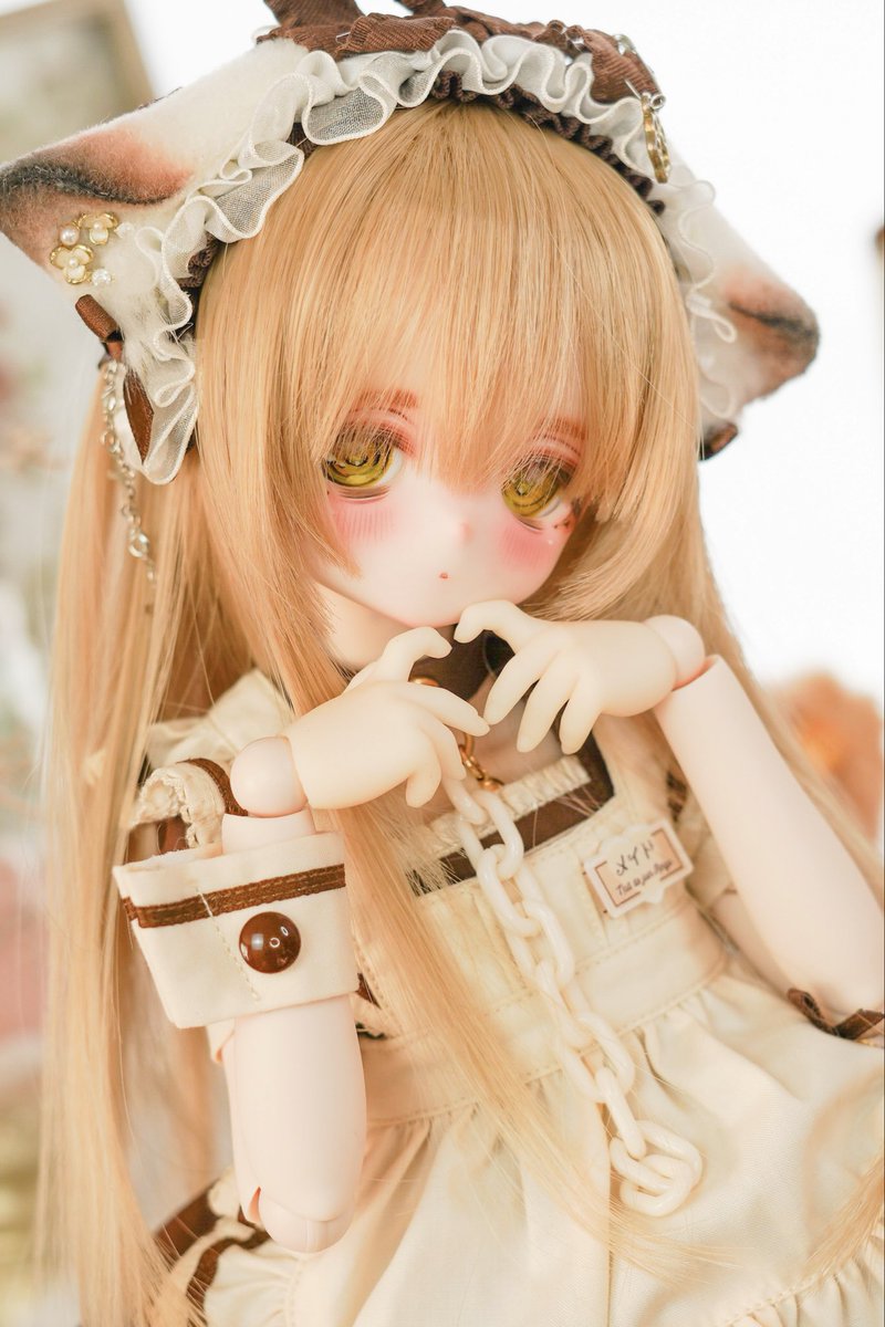 チョコレート猫メイドちゃん、本日の22時42分終了です⸜( ॑꒳ ॑  )⸝⋆*
よろしくお願いいたします🍫🐈

auctions.yahoo.co.jp/jp/auction/e12…