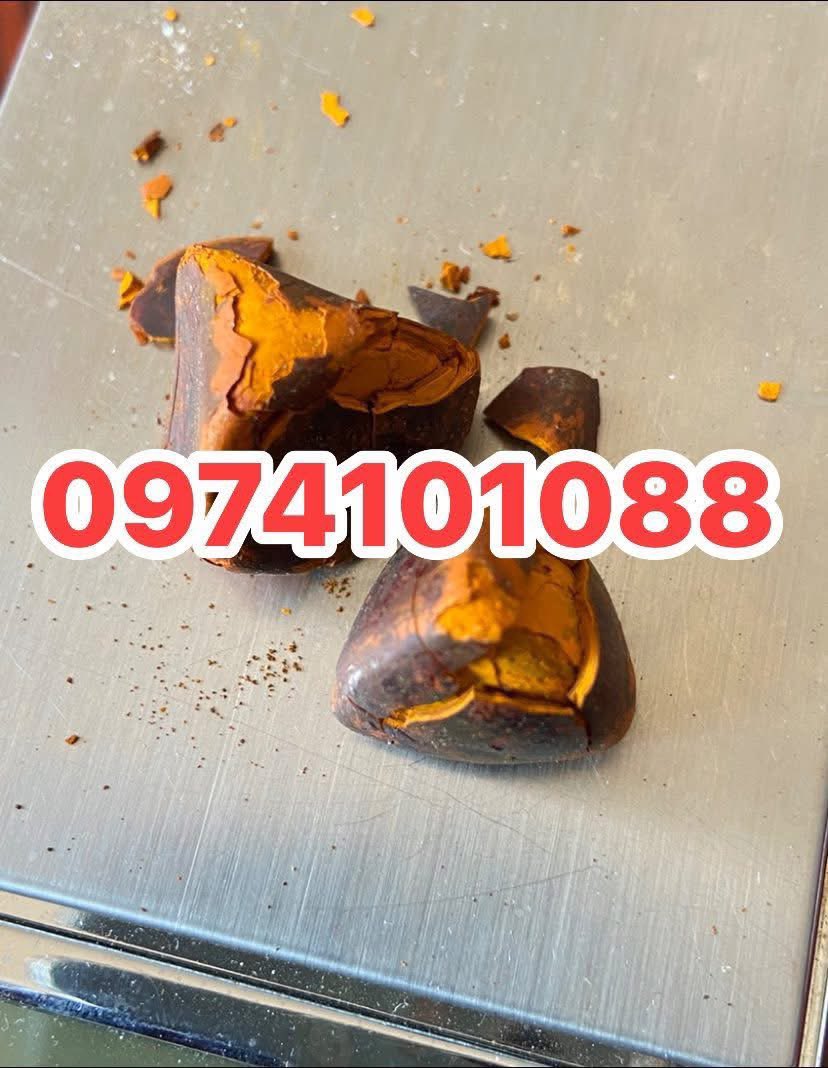 ShataOfficial's tweet photo. 🐄💎 We Are Still Buying Cow Gallstones in Zambia! 🇿🇲

📍 Gallstones are found in the gallbladder (Ndulu)
💰 We buy per dollar ($)
🚚 Buying from all parts of Zambia

📞 Contact / WhatsApp: 0974101088 https://t.co/Yi6pW7PP0S