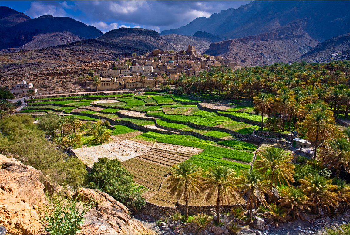 ارتفع عدد التصاريح الممنوحة للمشاريع الاستثمارية السياحية في محافظة جنوب الباطنة، وبلغت 174 تصريحًا مقارنة بـ 117 تصريحًا لنفس الفترة من عام 2024م. #نشرة_المحافظات 