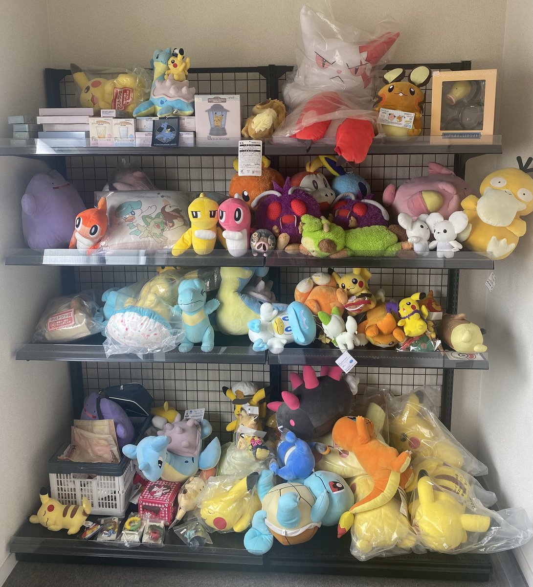 📣📣🚨 WANTED 🚨📣📣 ・ポケモンセンター台北限定 カイリュー