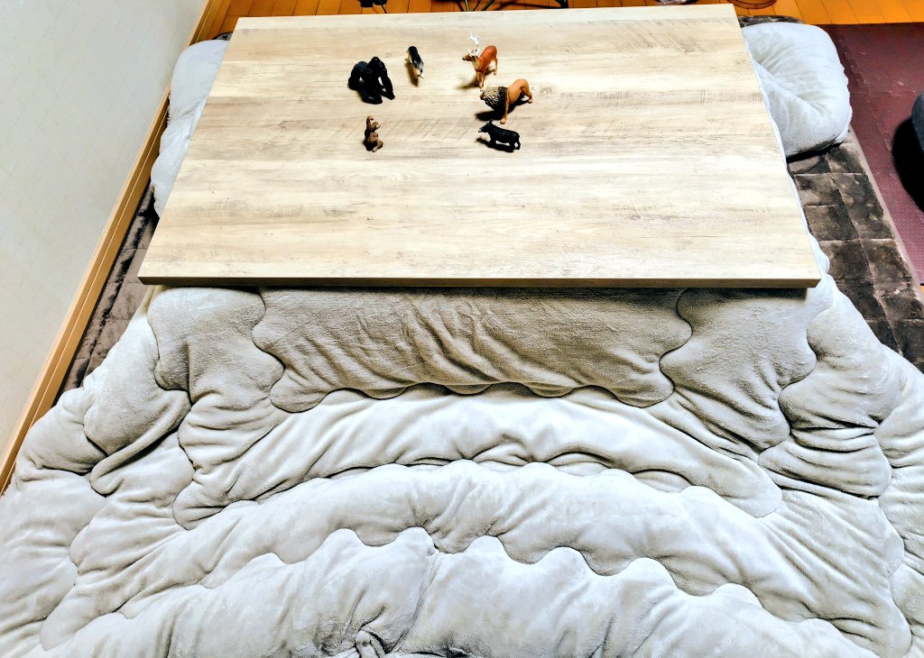 こたつみかん✩✩✩ ついに我が家にコタツが来た あとは みかんを買ってくるだけ🍊