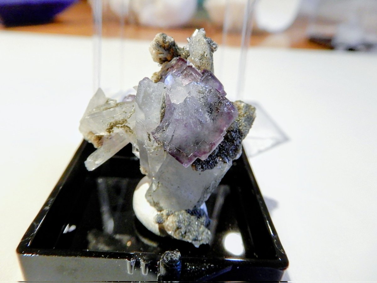 専用八面体フローライト　シュガー　フローライト　綺麗　レア　aaaグレード 東京ミネラルショー戦利品 ⑤ □フローライト(ヤオガンシャン産