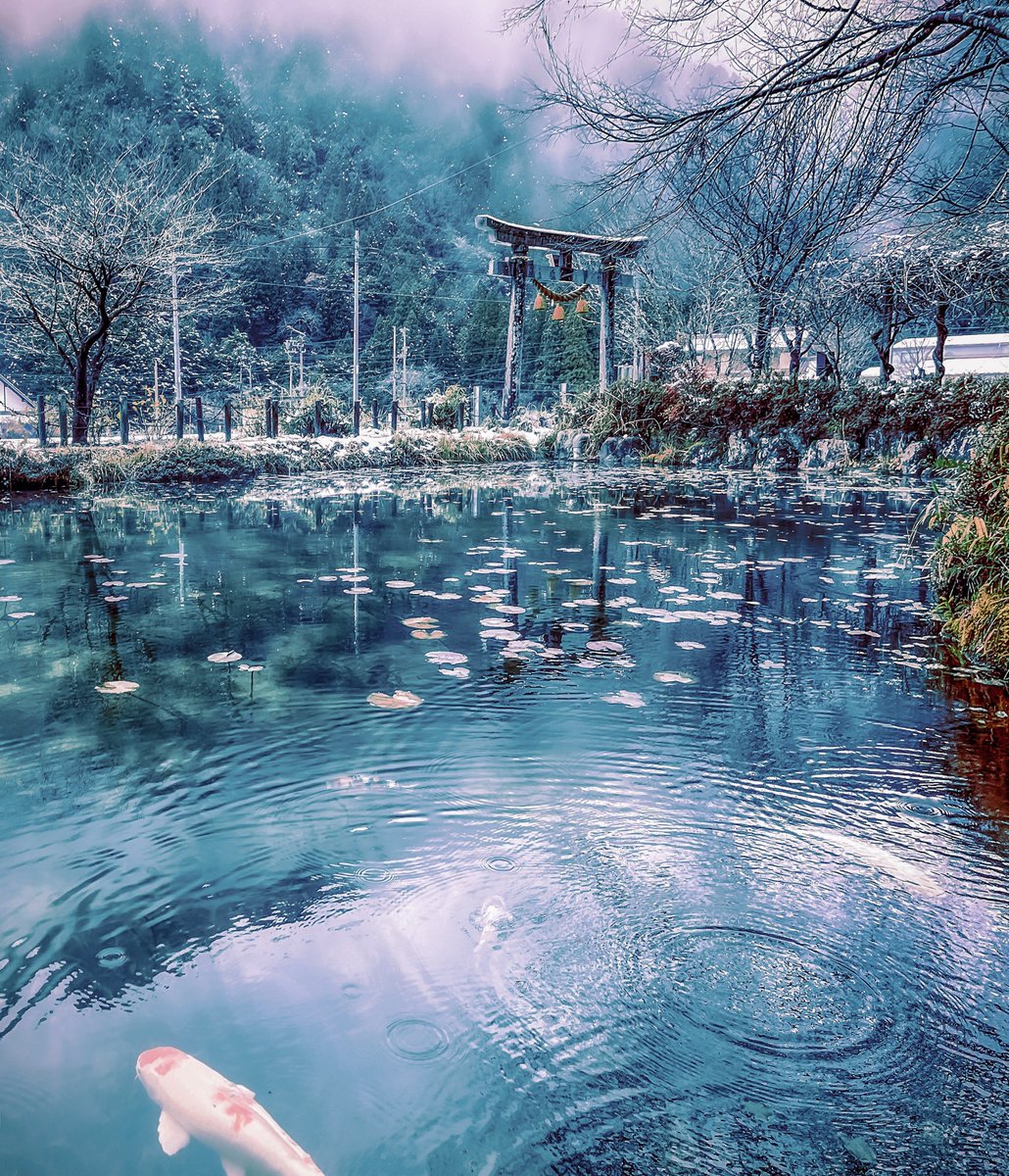 Kanata (@asagi_photo0921) / Posts / X