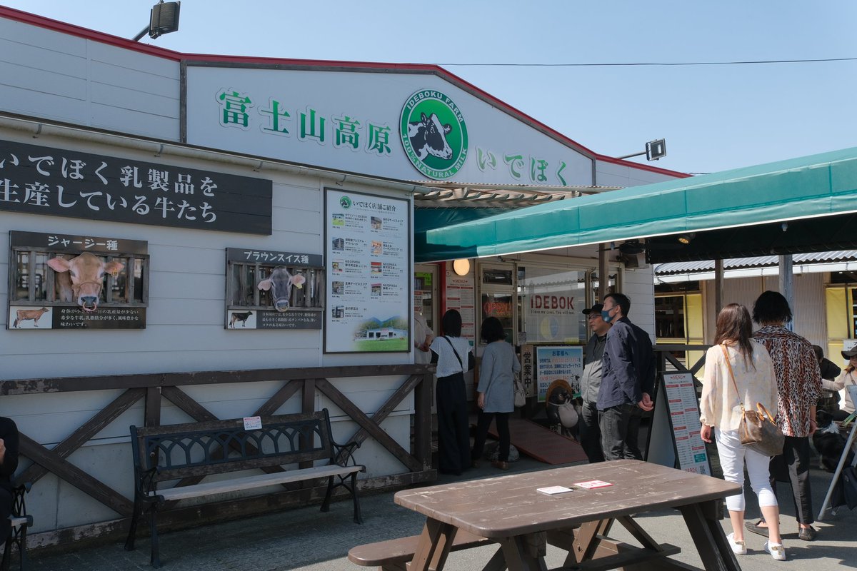 kwatanabex's tweet photo. いでぼく。
富士山のふもとにある観光牧場。
富士山を見ながらソフトクリームを食べられるロケーション。
ジャージーやホルスタインの他、国内では希少な茶色いブラウンスイスもいて、つぶらなお目々がキュートと思いきや、舌をベロンベロンして舐めるさまは動物だなぁと
#いでぼく #牧場 #ツーリング https://t.co/oqo8IyLpCb