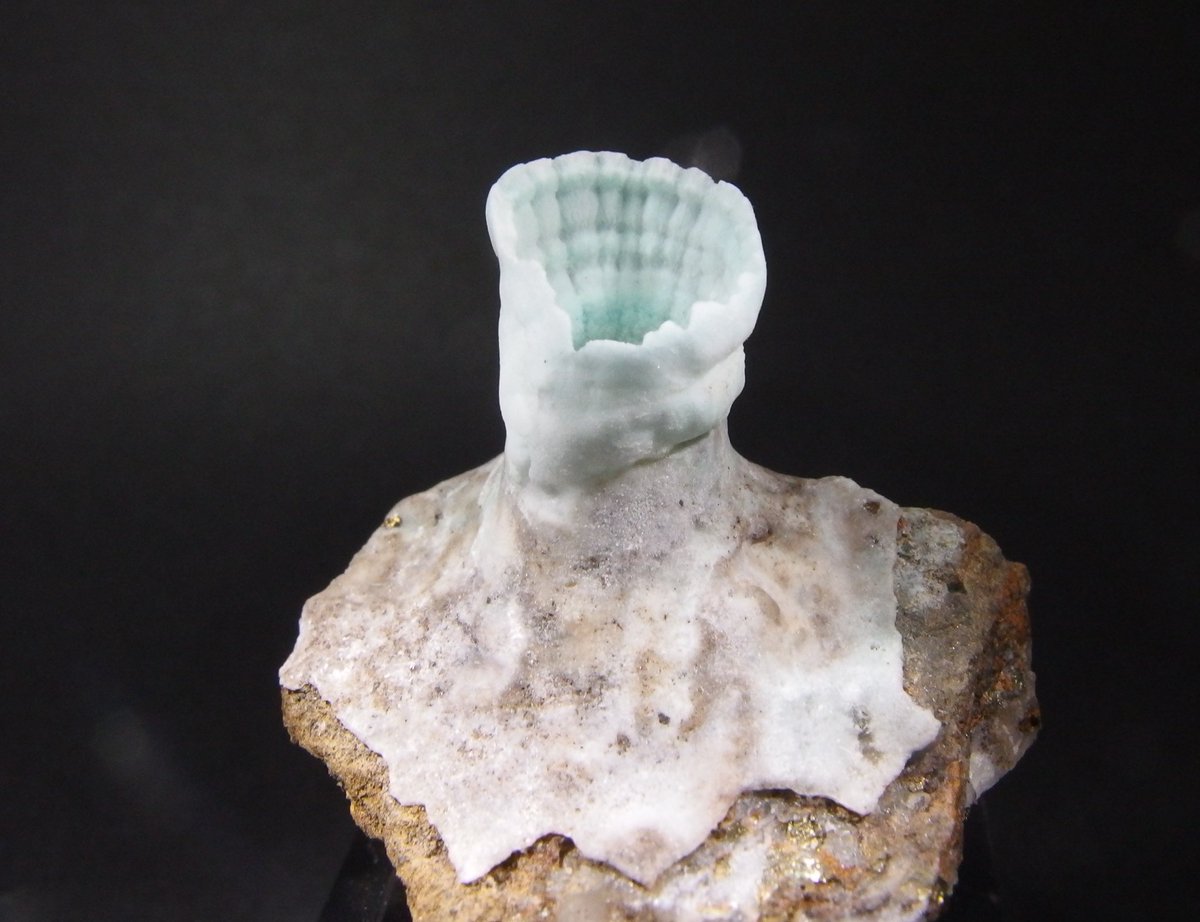 BlueColundum's tweet image. #東京ミネラルショー2025 
青が綺麗な水晶＆べゼリ石と海の生き物ぽいアラゴナイト　中国産
透明感あるアパタイト　コロンビア産
黒かと思ってたら濃緑色だった燐銅鉱　ザンビア産