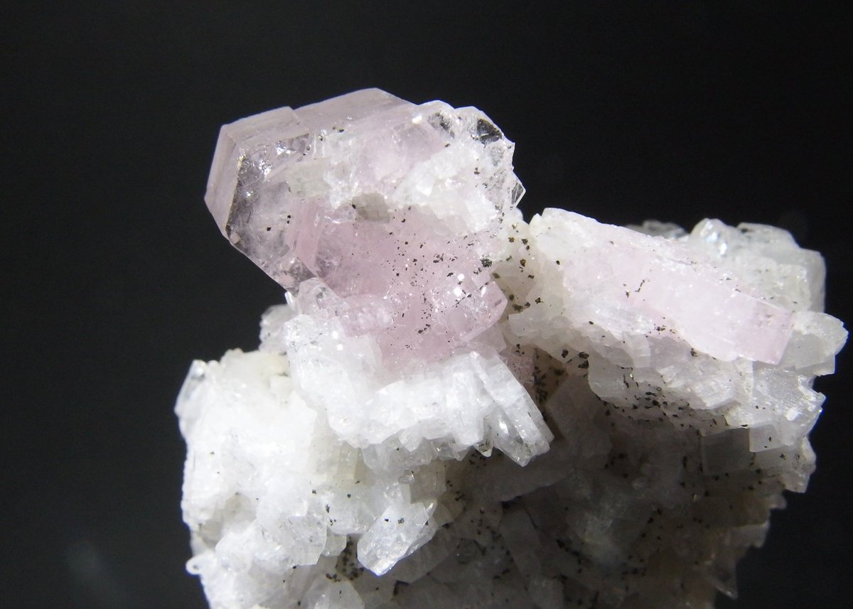 BlueColundum's tweet image. #東京ミネラルショー2025 
青が綺麗な水晶＆べゼリ石と海の生き物ぽいアラゴナイト　中国産
透明感あるアパタイト　コロンビア産
黒かと思ってたら濃緑色だった燐銅鉱　ザンビア産